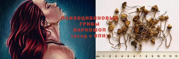 ALPHA PVP Баксан